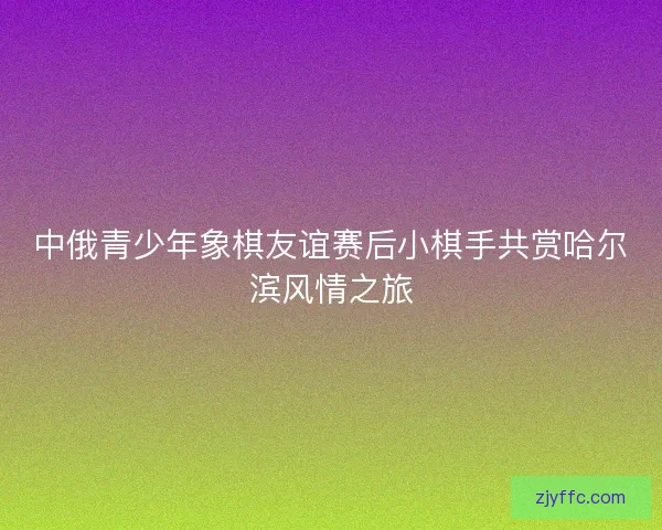 中俄青少年象棋友谊赛后小棋手共赏哈尔滨风情之旅